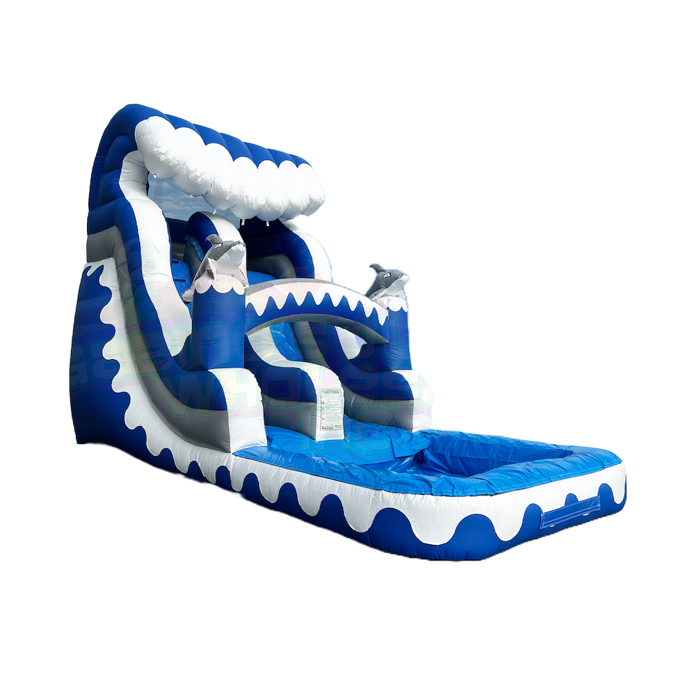 Dolphin Water Slide